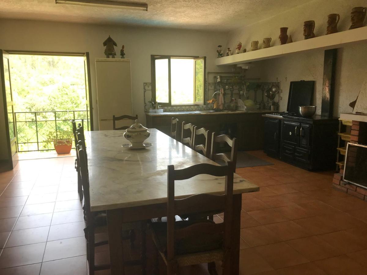 Casa Do Abeto Villa Carvalhosa Екстериор снимка